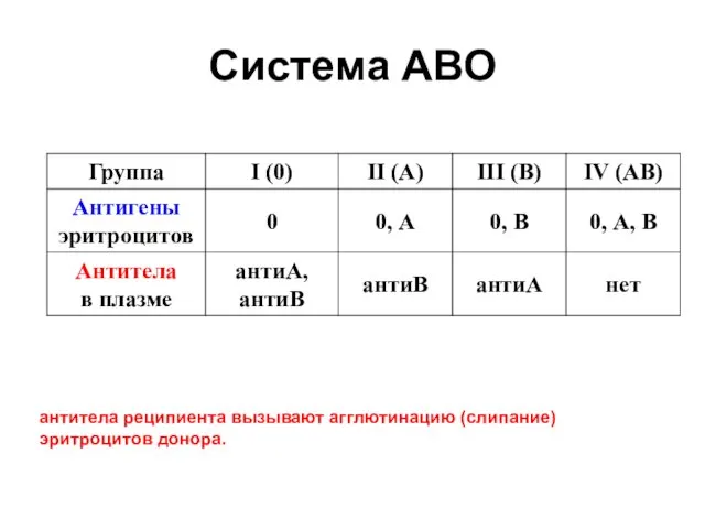 Система АВО антитела реципиента вызывают агглютинацию (слипание) эритроцитов донора.