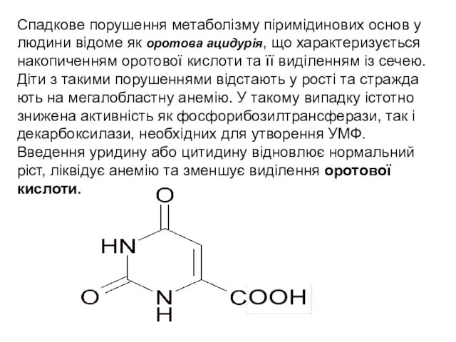 Спадкове порушення метаболізму піримідинових основ у людини відоме як оротова ацидурія,