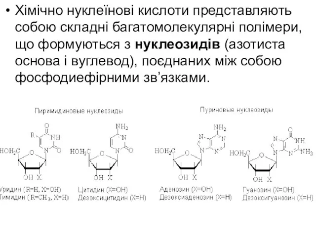 Хімічно нуклеїнові кислоти представляють собою складні багатомолекулярні полімери, що формуються з