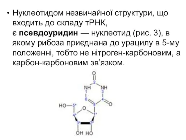 Нуклеотидом незвичайної структури, що входить до складу тРНК, є псевдоуридин —