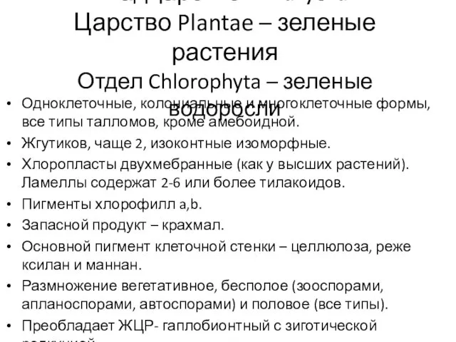 Надцарство Eucaryota Царство Plantae – зеленые растения Отдел Chlorophyta – зеленые