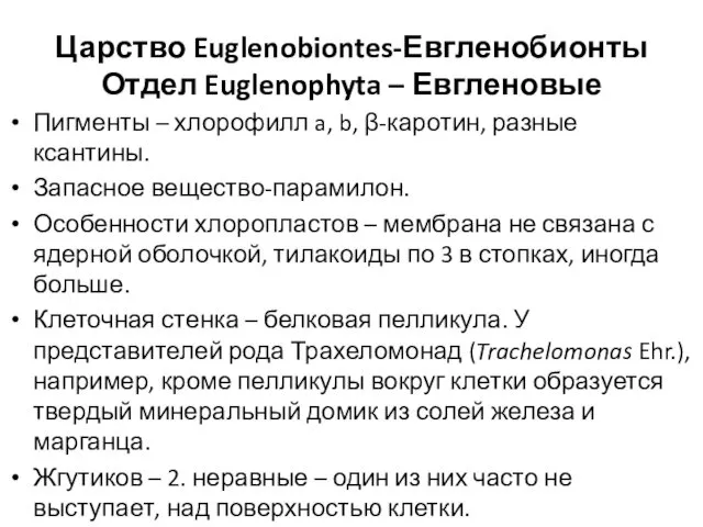 Царство Euglenobiontes-Евгленобионты Отдел Euglenophyta – Евгленовые Пигменты – хлорофилл a, b,