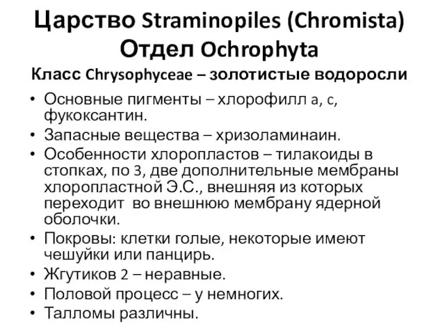 Царство Straminopiles (Chromista) Отдел Ochrophyta Класс Chrysophyceae – золотистые водоросли Основные