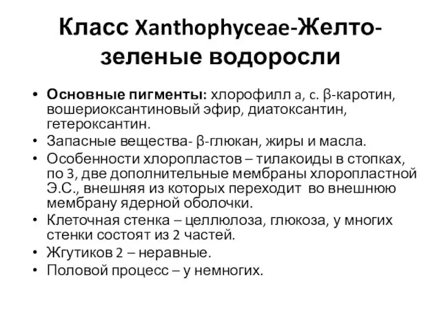 Класс Xanthophyceae-Желто-зеленые водоросли Основные пигменты: хлорофилл a, c. β-каротин, вошериоксантиновый эфир,