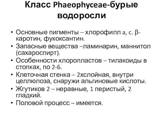 Класс Phaeophyceae-бурые водоросли Основные пигменты – хлорофилл a, c. β-каротин, фукоксантин.