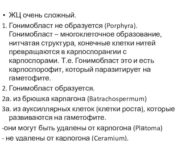 ЖЦ очень сложный. 1. Гонимобласт не образуется (Porphyra). Гонимобласт – многоклеточное