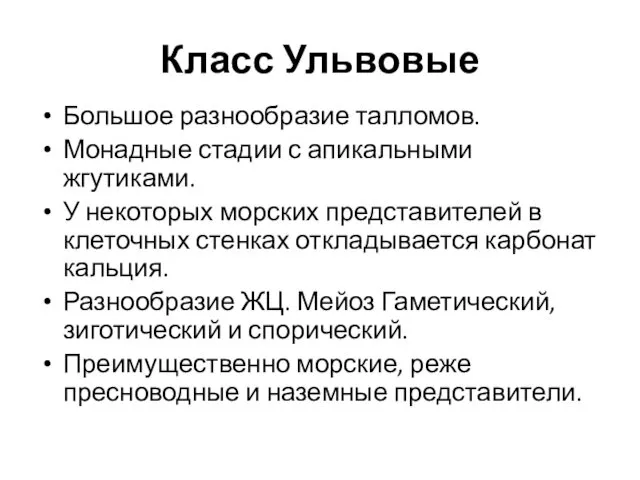 Класс Ульвовые Большое разнообразие талломов. Монадные стадии с апикальными жгутиками. У