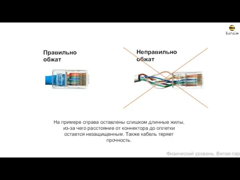 Правильно обжат Неправильно обжат На примере справа оставлены слишком длинные жилы,