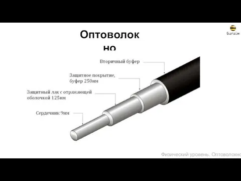 Оптоволокно Физический уровень. Оптоволокно