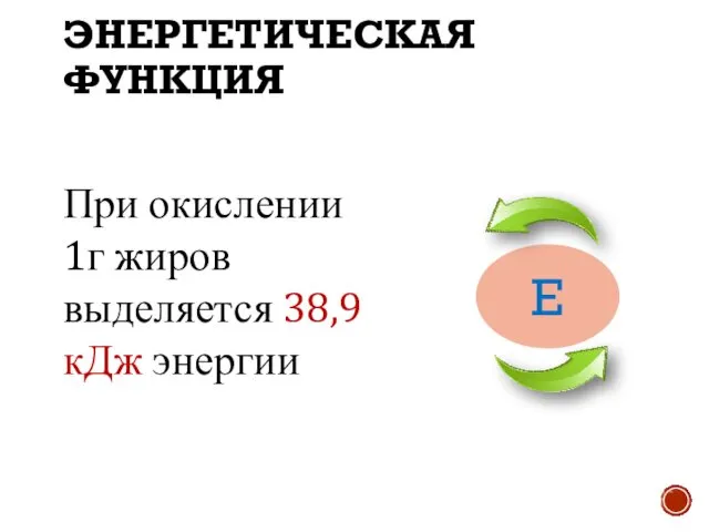 При окислении 1г жиров выделяется 38,9 кДж энергии ЭНЕРГЕТИЧЕСКАЯ ФУНКЦИЯ