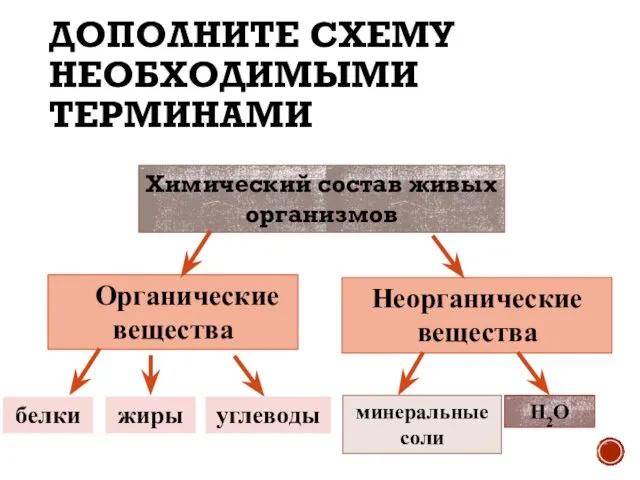 ДОПОЛНИТЕ СХЕМУ НЕОБХОДИМЫМИ ТЕРМИНАМИ Органические вещества Неорганические вещества белки жиры углеводы