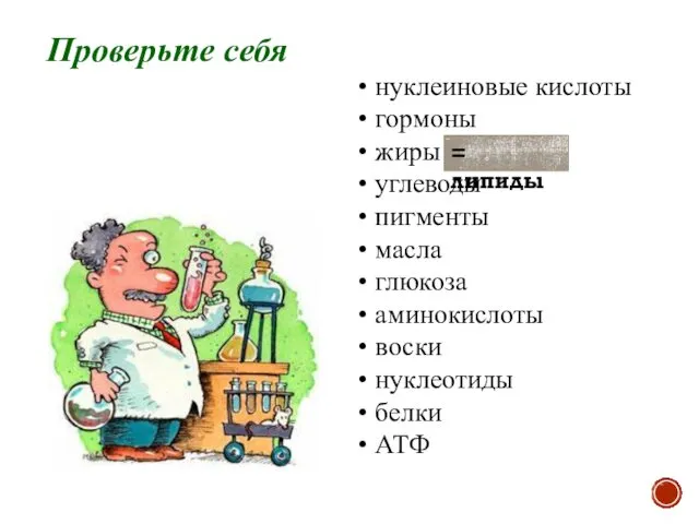 нуклеиновые кислоты гормоны жиры углеводы пигменты масла глюкоза аминокислоты воски нуклеотиды