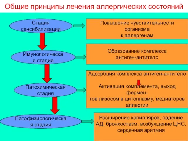 Общие принципы лечения аллергических состояний Стадия сенсибилизации Имунологическая стадия Патохимическая стадия