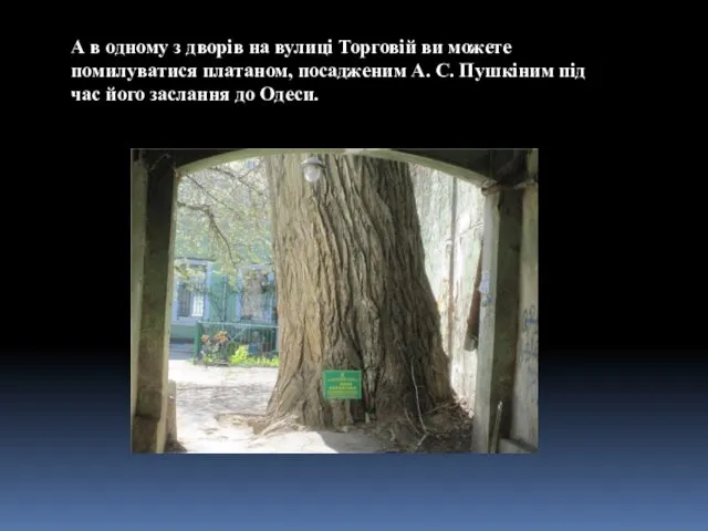 А в одному з дворів на вулиці Торговій ви можете помилуватися