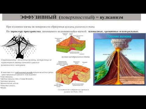 При излиянии магмы на поверхности образуются вулканы различного типа. По характеру