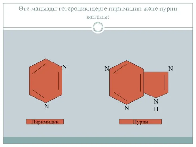 Өте маңызды гетероциклдерге пиримидин және пурин жатады: N N N N N N H Пиримидин Пурин