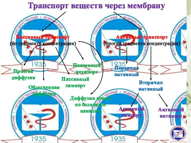 Транспорт веществ через мембрану Пассивный транспорт (по градиенту концентрации) Активный транспорт