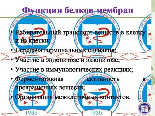 Функции белков мембран Избирательный транспорт веществ в клетку и из клетки;