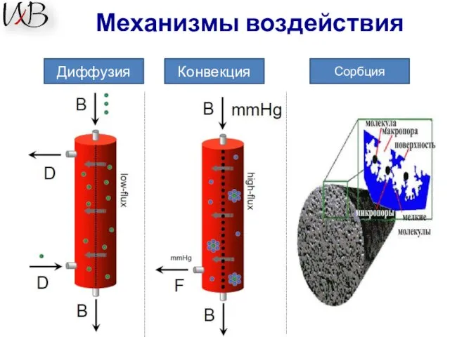 Механизмы воздействия Диффузия Конвекция Сорбция