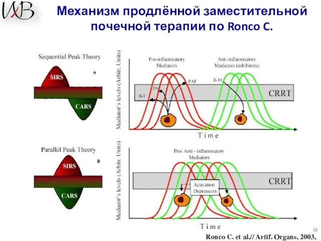 Механизм продлённой заместительной почечной терапии по Ronco C. Ronco C. et al.// Artif. Organs, 2003, 27