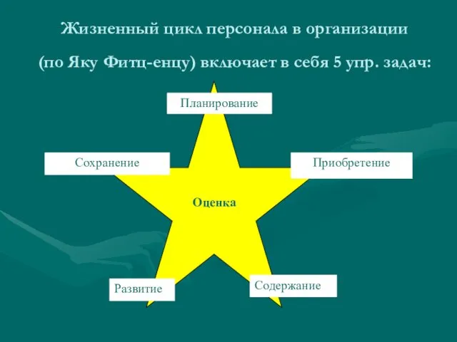 Жизненный цикл персонала в организации (по Яку Фитц-енцу) включает в себя