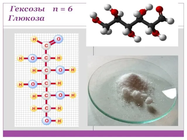 Гексозы n = 6 Глюкоза