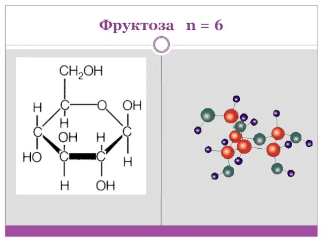 Фруктоза n = 6