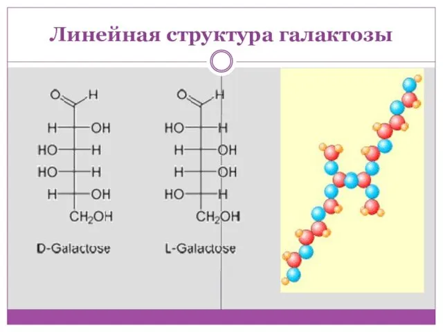 Линейная структура галактозы