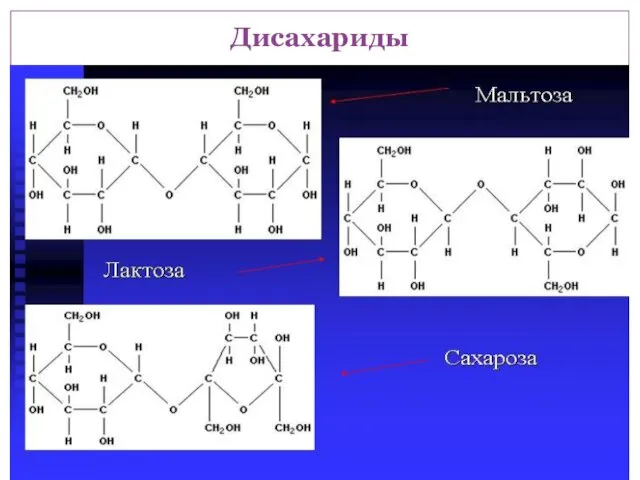 Дисахариды