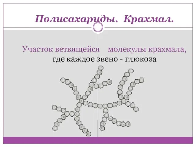 Полисахариды. Крахмал. Участок ветвящейся молекулы крахмала, где каждое звено - глюкоза