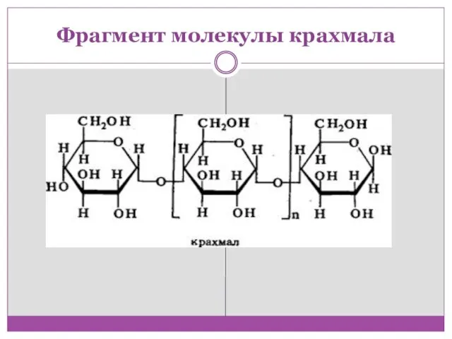 Фрагмент молекулы крахмала