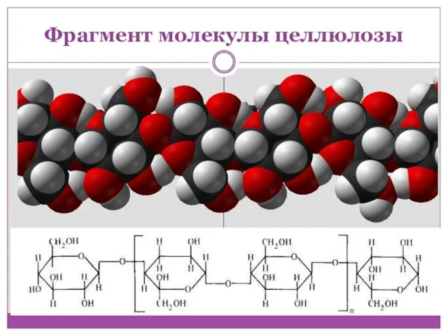 Фрагмент молекулы целлюлозы