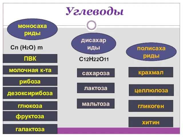 Углеводы моносахариды дисахариды полисахариды рибоза глюкоза дезоксирибоза хитин фруктоза сахароза лактоза