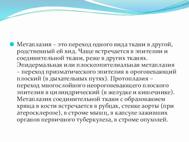 Метаплазия – это переход одного вида ткани в другой, родственный ей