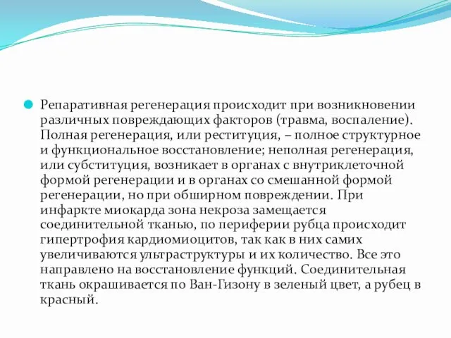 Репаративная регенерация происходит при возникновении различных повреждающих факторов (травма, воспаление). Полная