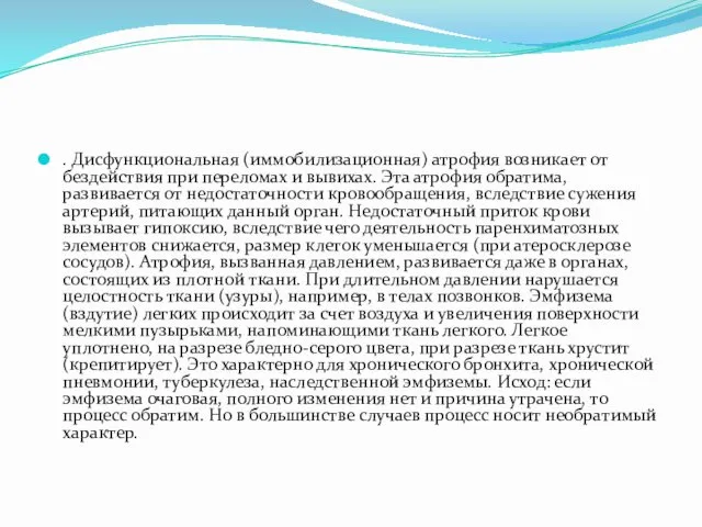 . Дисфункциональная (иммобилизационная) атрофия возникает от бездействия при переломах и вывихах.