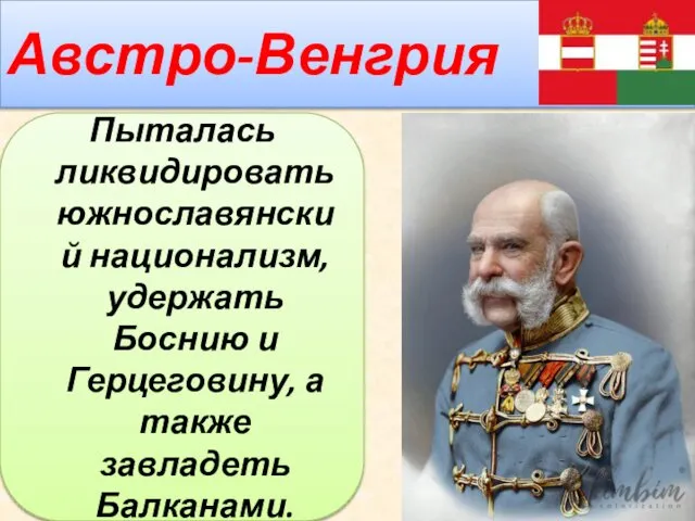 Австро-Венгрия Пыталась ликвидировать южнославянский национализм, удержать Боснию и Герцеговину, а также завладеть Балканами.