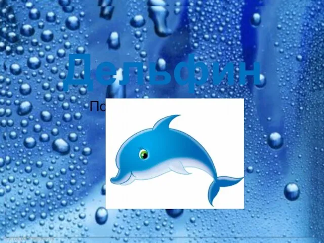 Дельфин. Поэтапное рисование