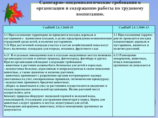 Санитарно-эпидемиологические требования к организации и содержанию работы по трудовому воспитанию.