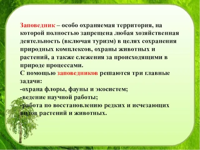 Заповедник – особо охраняемая территория, на которой полностью запрещена любая хозяйственная