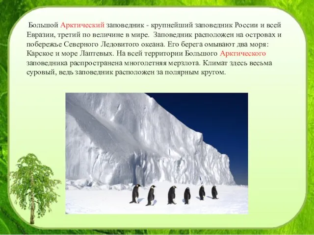 Большой Арктический заповедник - крупнейший заповедник России и всей Евразии, третий