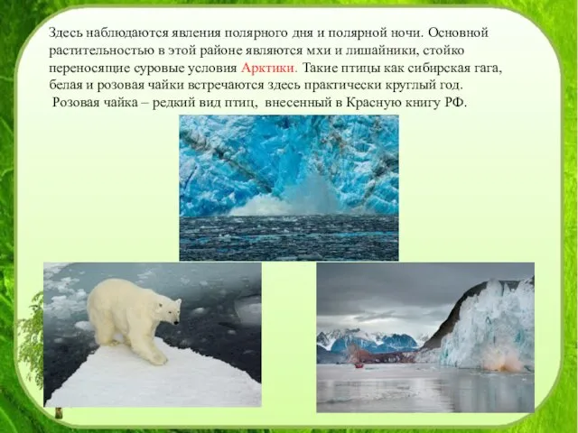 Здесь наблюдаются явления полярного дня и полярной ночи. Основной растительностью в