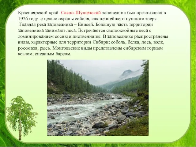 Красноярский край. Саяно-Шушенский заповедник был организован в 1976 году с целью