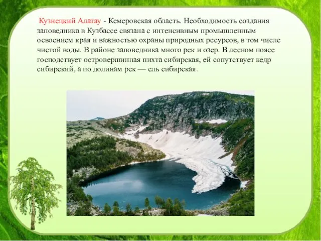 Кузнецкий Алатау - Кемеровская область. Необходимость создания заповедника в Кузбассе связана