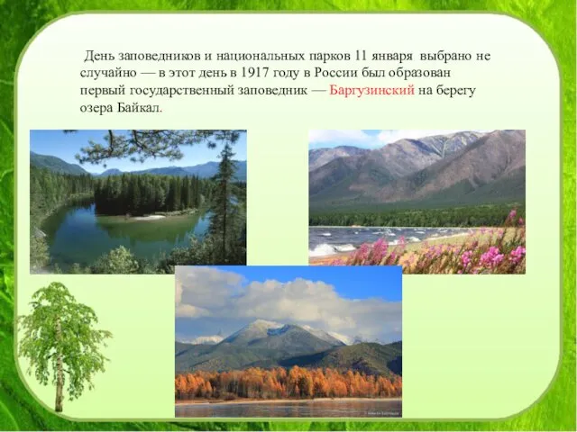 День заповедников и национальных парков 11 января выбрано не случайно —