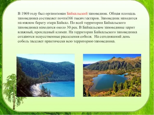 В 1969 году был организован Байкальский заповедник. Общая площадь заповедника составляет