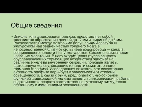 Общие сведения Эпифиз, или шишковидная железа, представляет собой железистое образование длиной