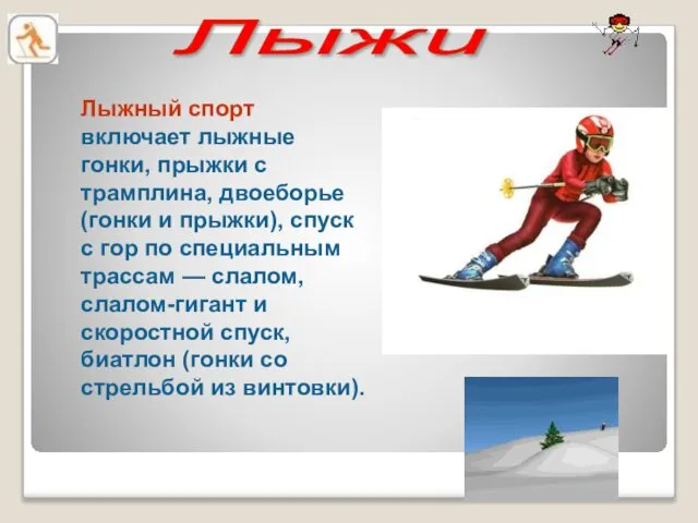 Лыжи Лыжный спорт включает лыжные гонки, прыжки с трамплина, двоеборье (гонки