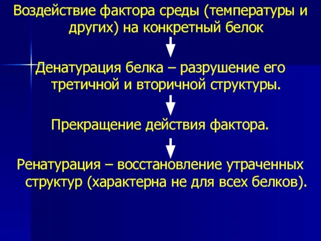 Воздействие фактора среды (температуры и других) на конкретный белок Денатурация белка