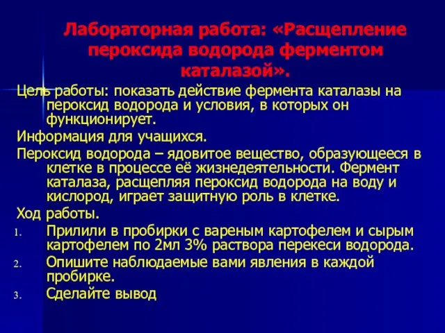 Лабораторная работа: «Расщепление пероксида водорода ферментом каталазой». Цель работы: показать действие